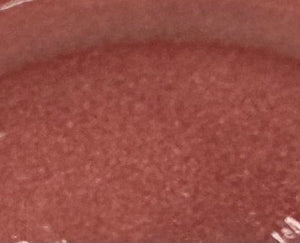 Danyel Cosmetics & Marli Skin Care Sierra Rose Lipstick - NEW from Danyel Cosmetics