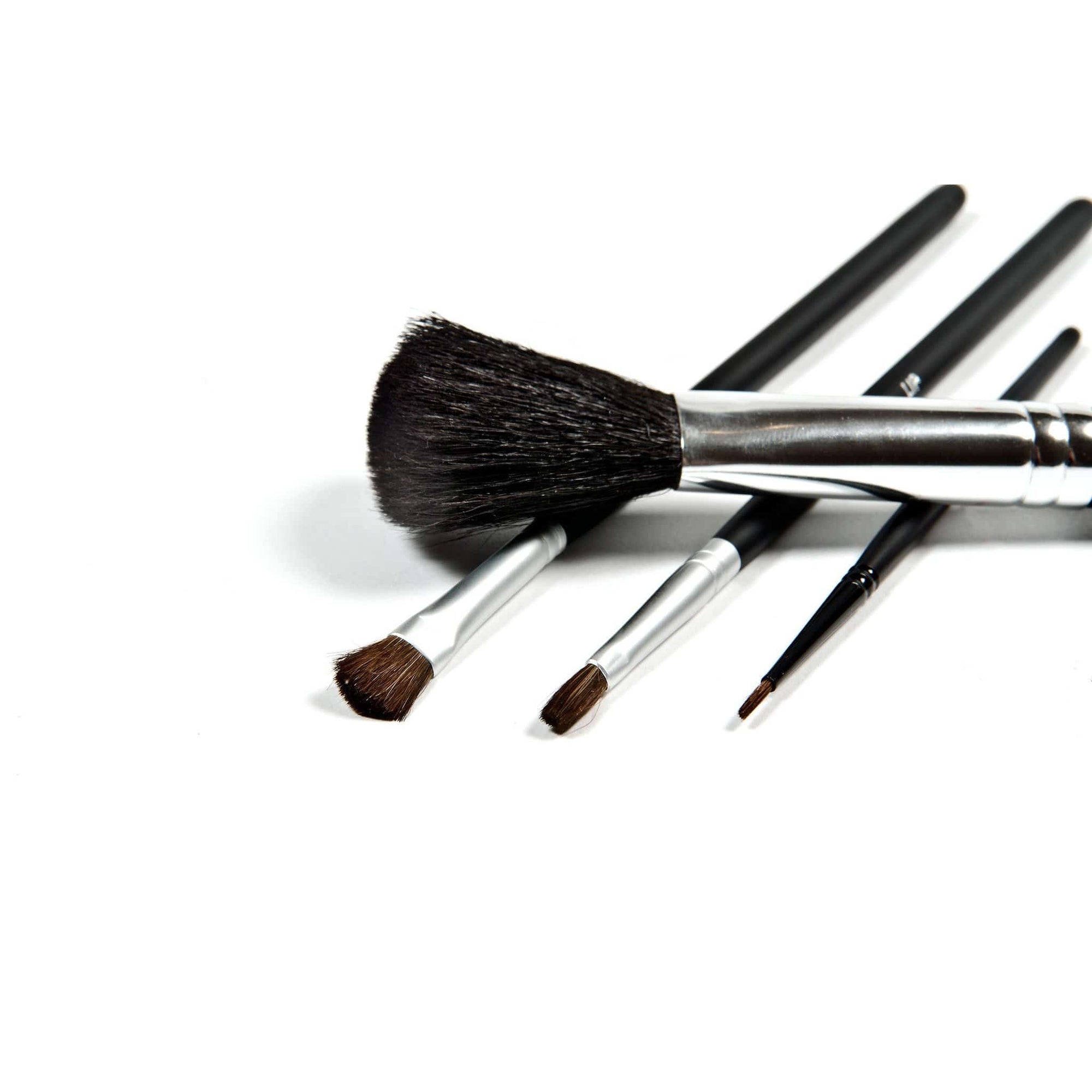 Danyel Cosmetics Brushes Danyel' Professional Cosmetics Brush Collection